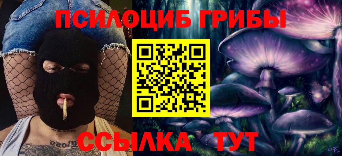 Псилоцибиновые грибы мицелий  Вход с VPN  Псилоцибиновые грибы Cubensis  Белгород 